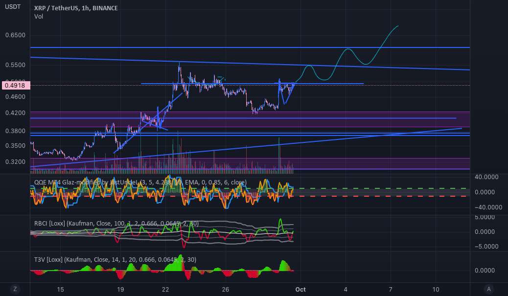 XRP نشانه هایی از افزایش را نشان می دهد