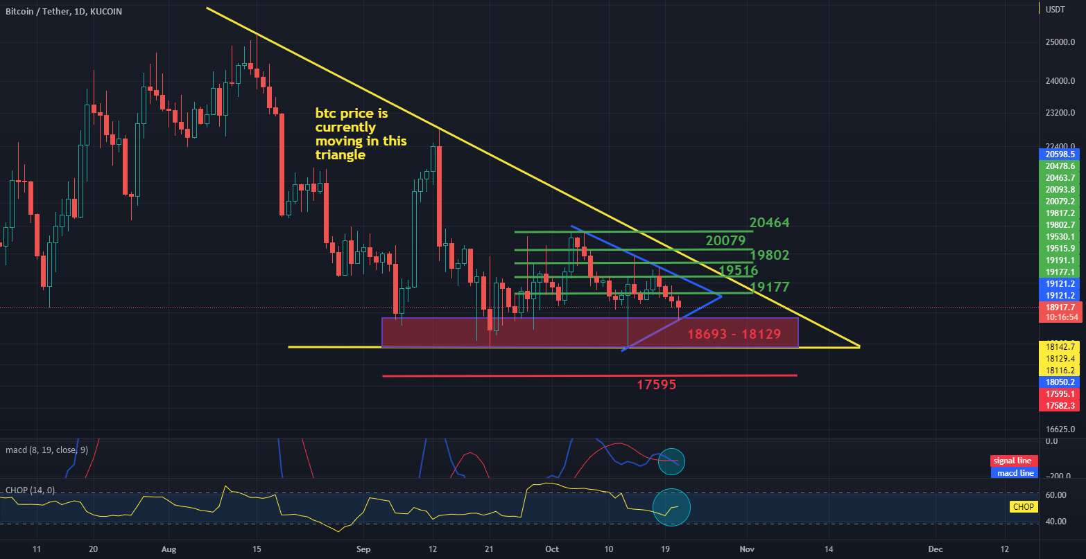 BTC/USDT Revive 1D Interval