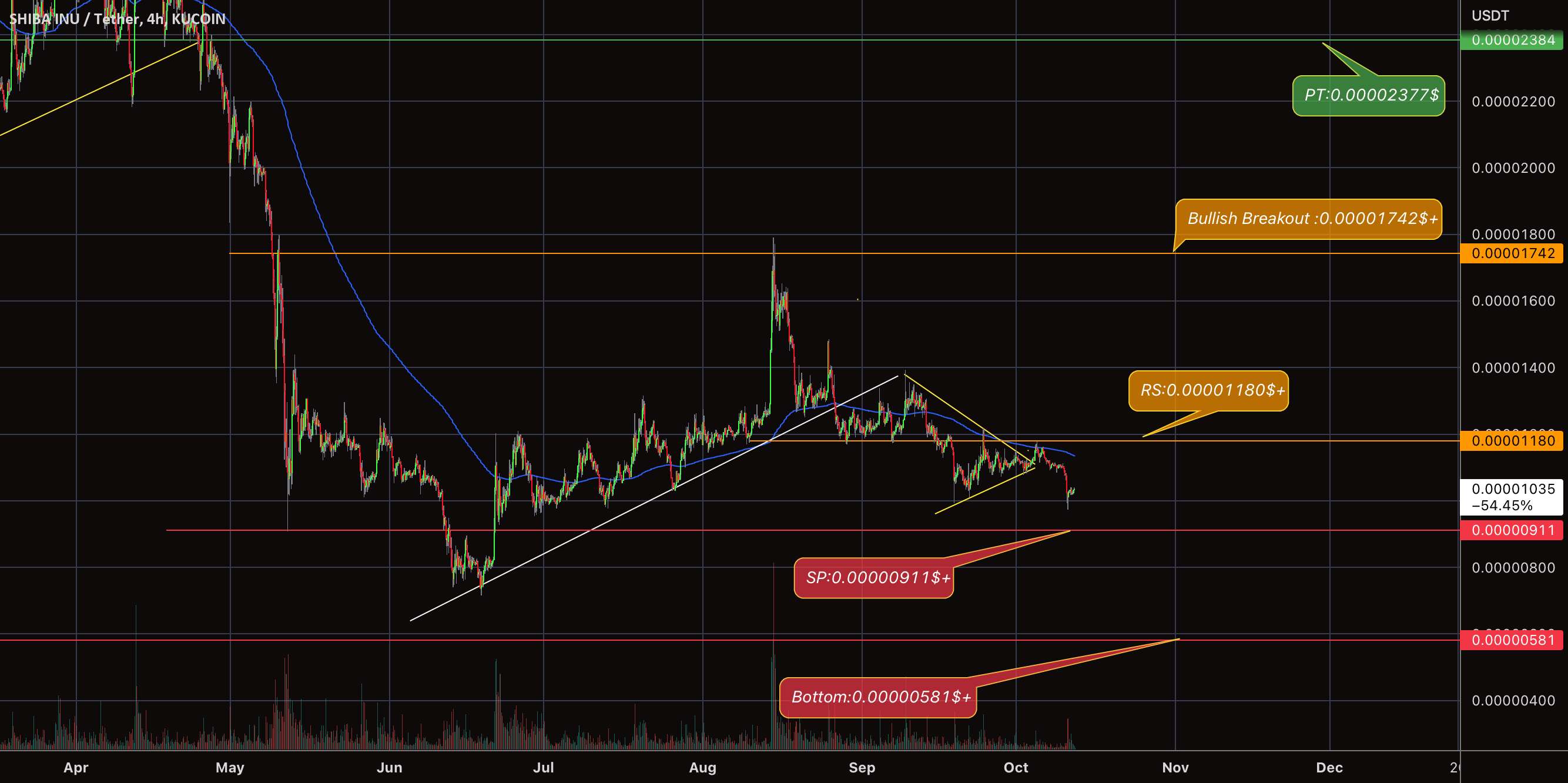 SHIB Coin 2022 $ هدف