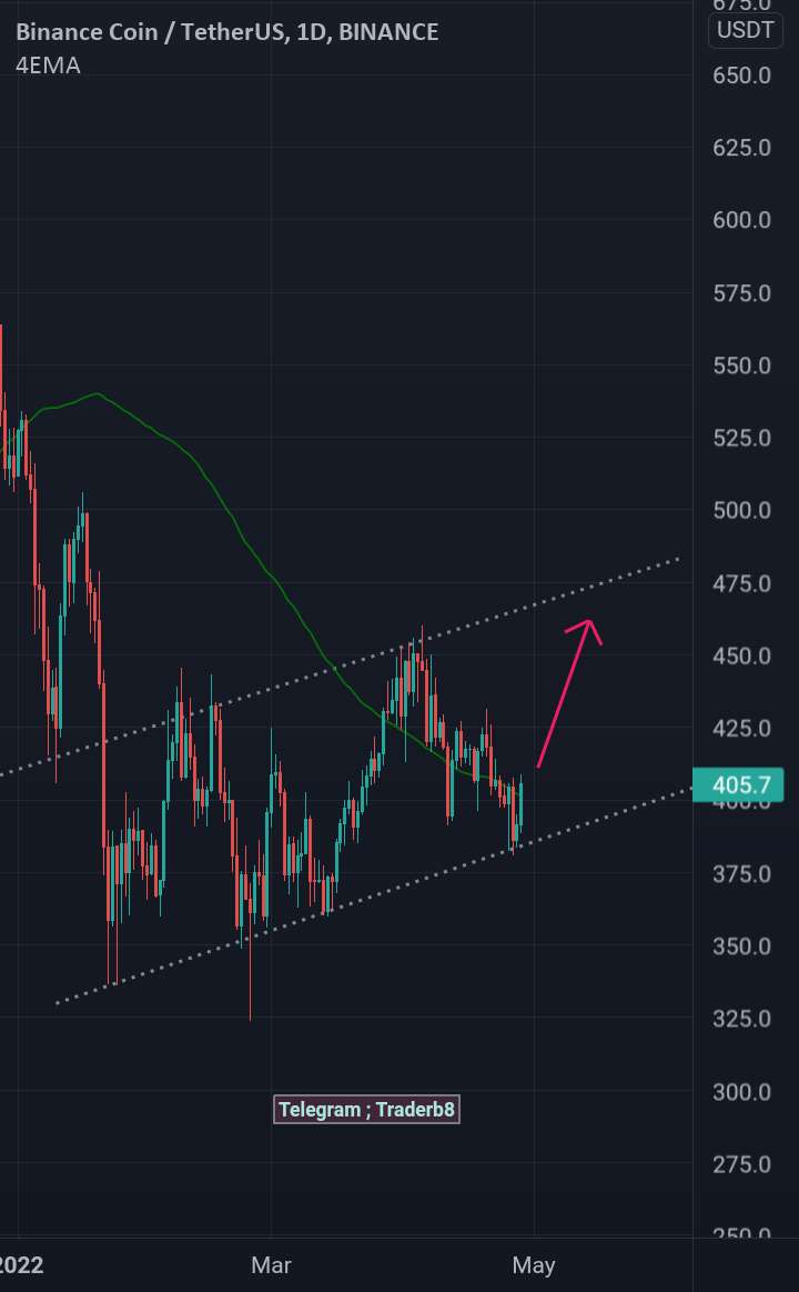 BNBUSD در حال معامله در Rising Wedge است