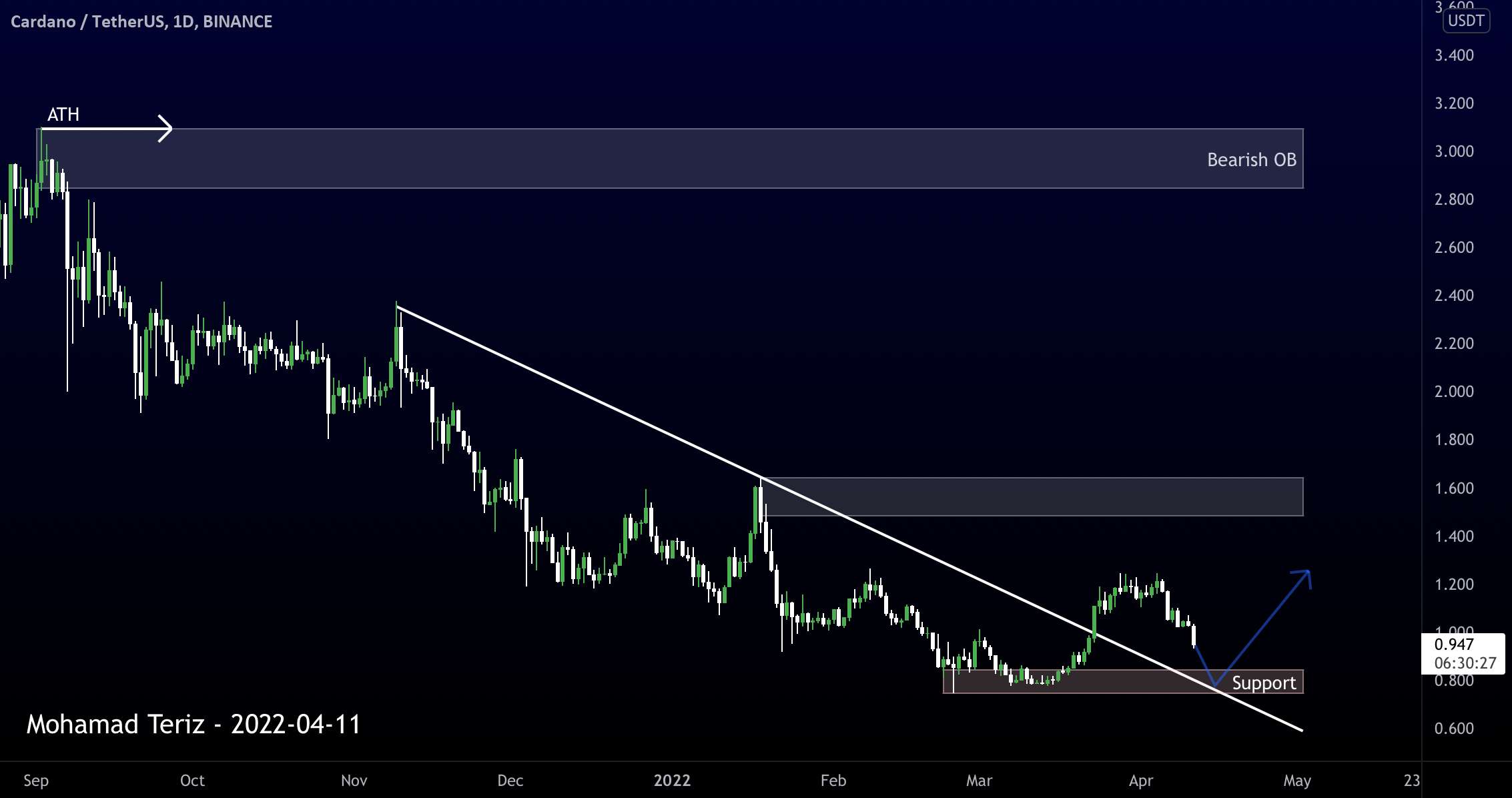 CARDANO در پشتیبانی