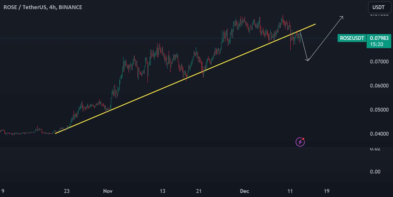 تحلیل آسیس نتورک - رز فرصت کوتاه