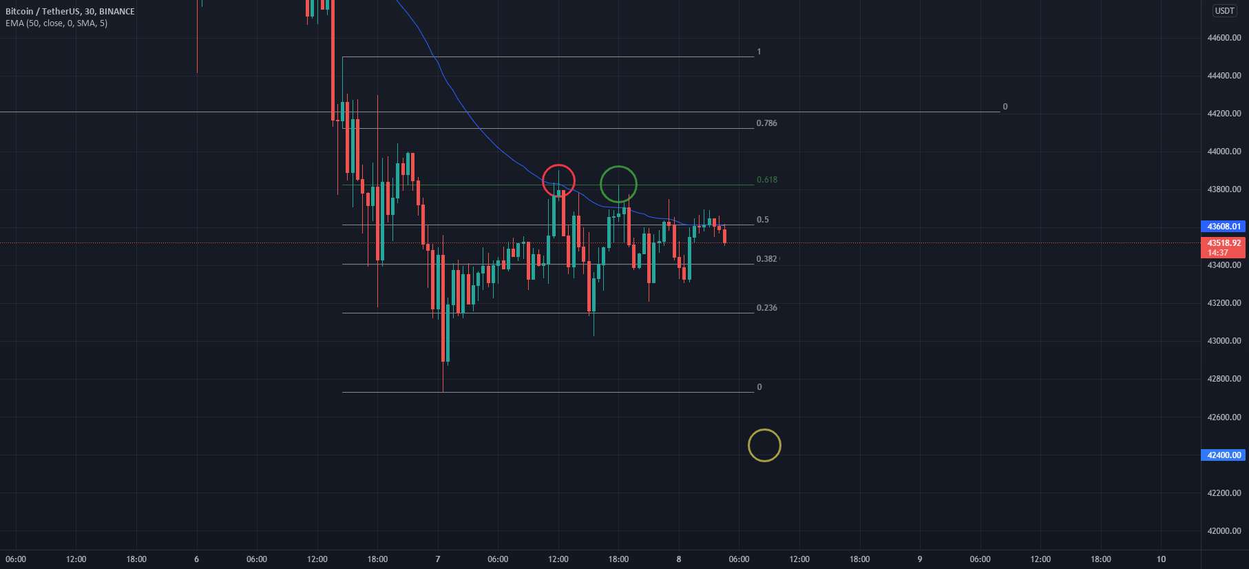 پیش بینی قیمت برای پوست سر