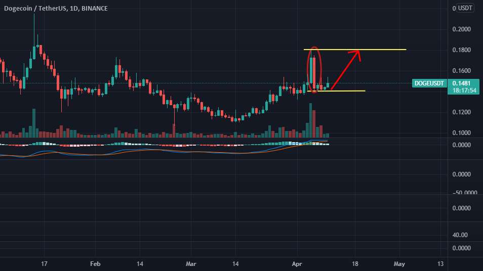  تحلیل دوج کوین - DOGE، پری راه را راهنمایی می کند.