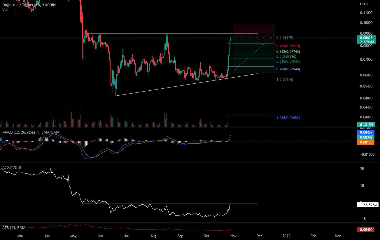 $DOGE به سمت انبار می رود؟