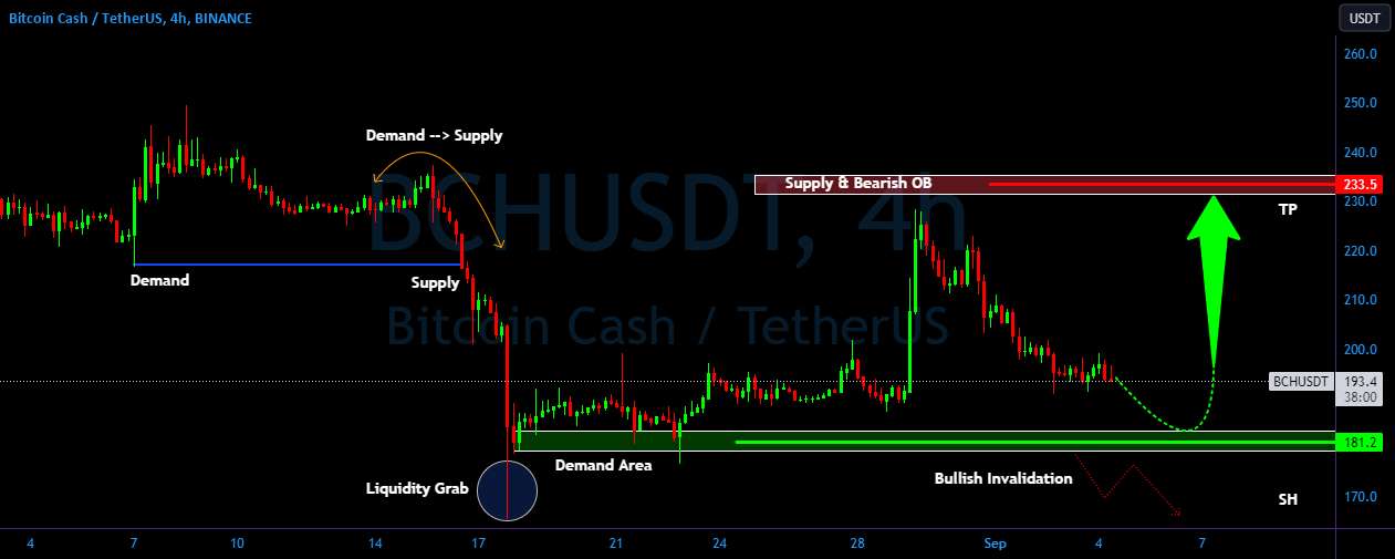 BCH/USDT برای رالی صعودی آماده است | تجزیه و تحلیل بیت کوین کش