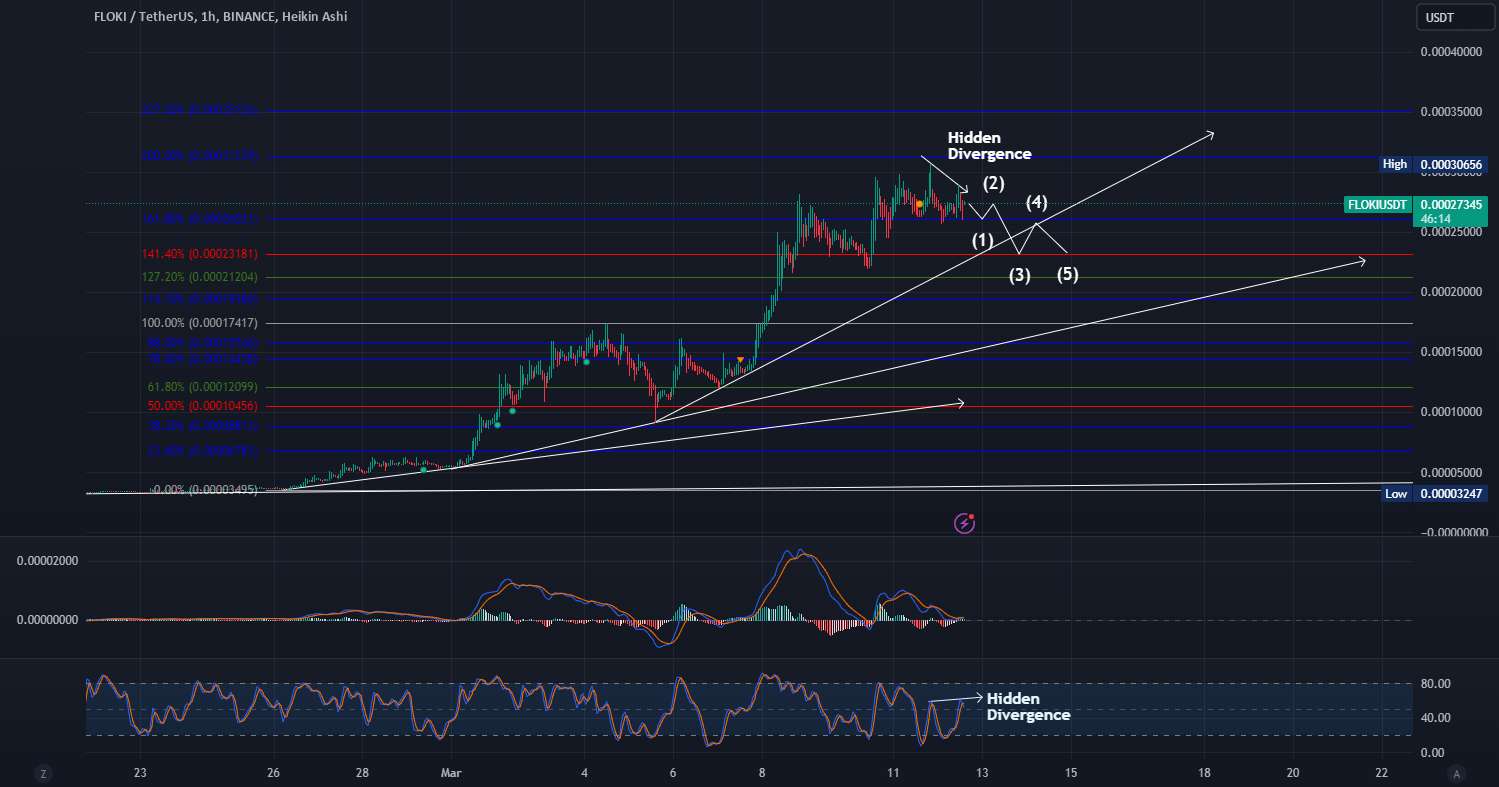  تحلیل FLOKI - زمان کوتاه - واگرایی پنهان ظاهر شد