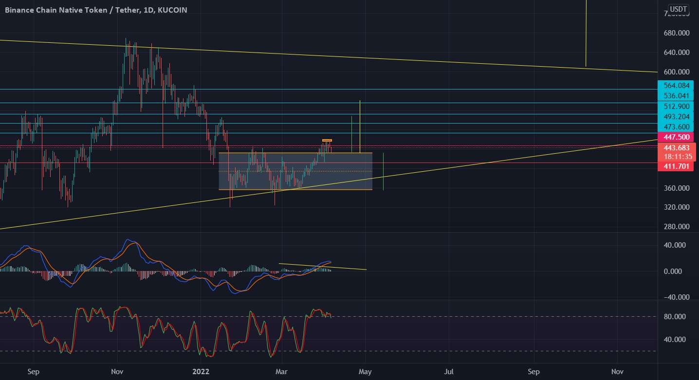 حرکت بعدی BNB/USDT به بالا! لذت بردن