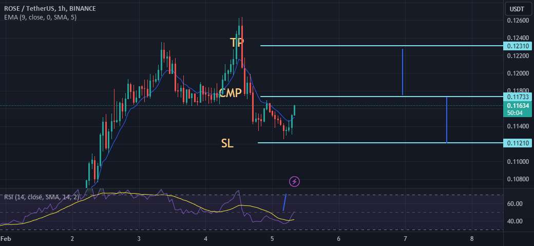  تحلیل آسیس نتورک - ROSEUSDT اگر بازار LH شکسته شود، در صعودی افزایش می یابد