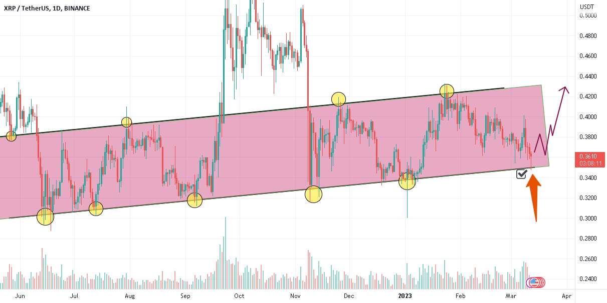 XRP خرید