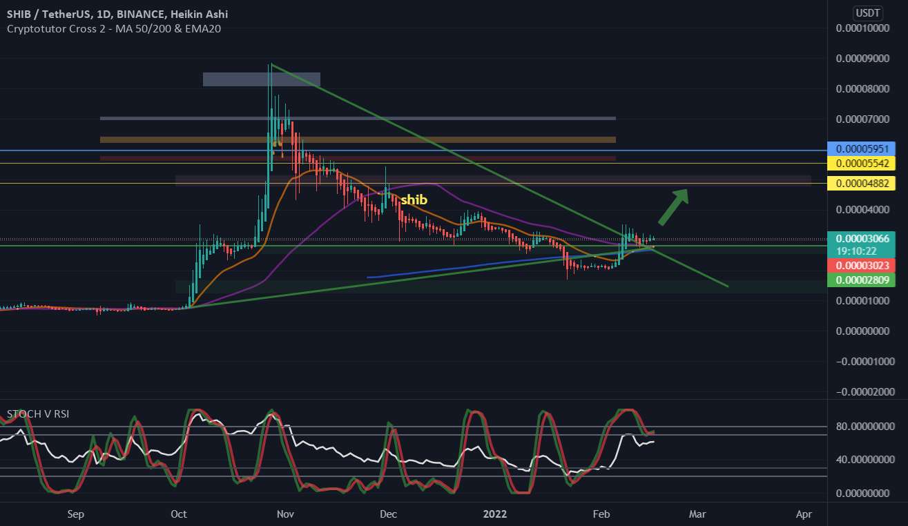  تحلیل شیبا - Shiba Usdt فقط یک ایده 🐱‍🏍🔥