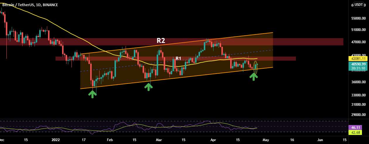 BTC: گاوها هنوز در کنترل هستند!!