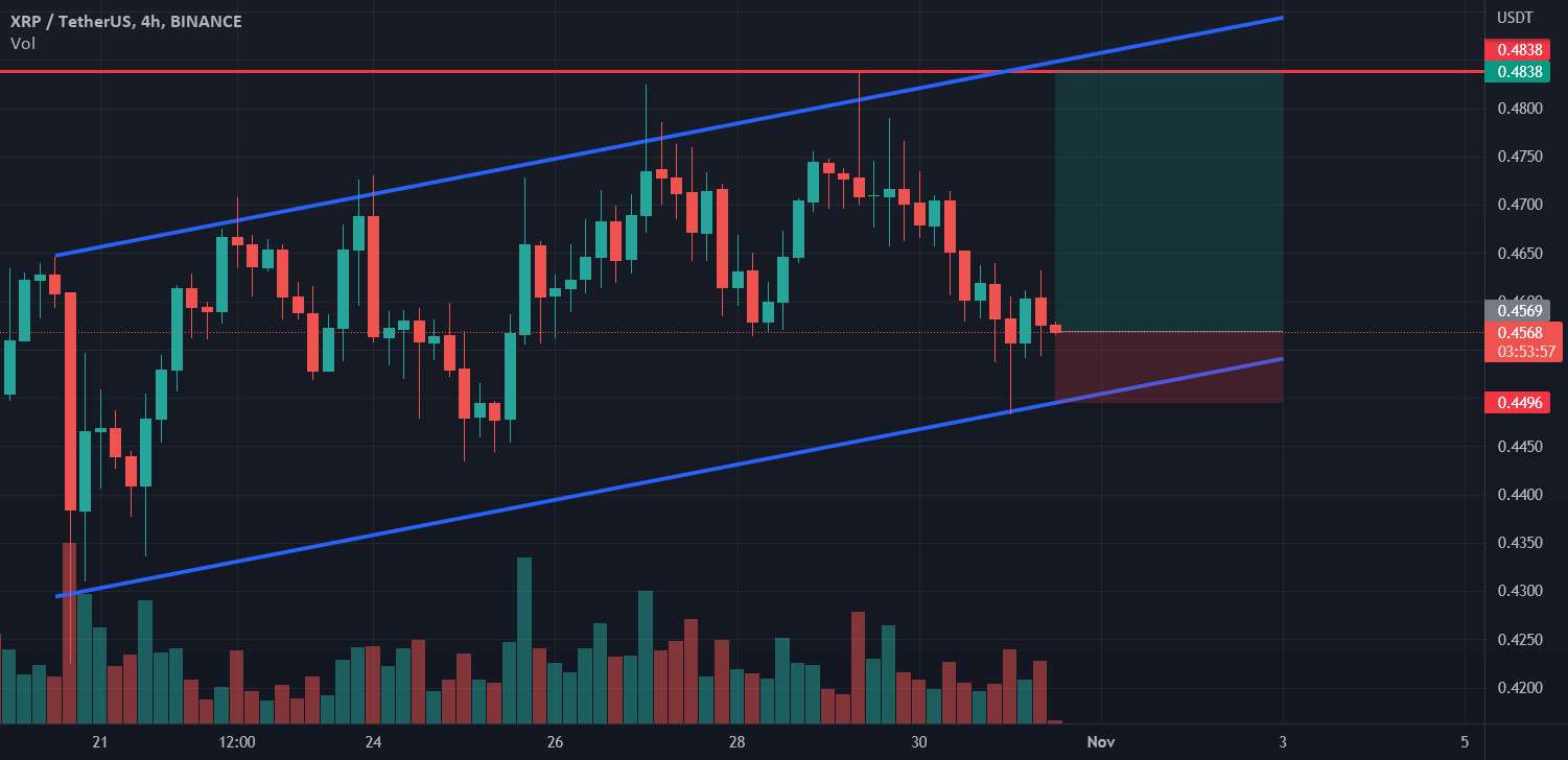 طول XRP