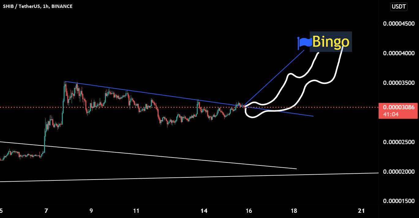 shiba bullish 1h