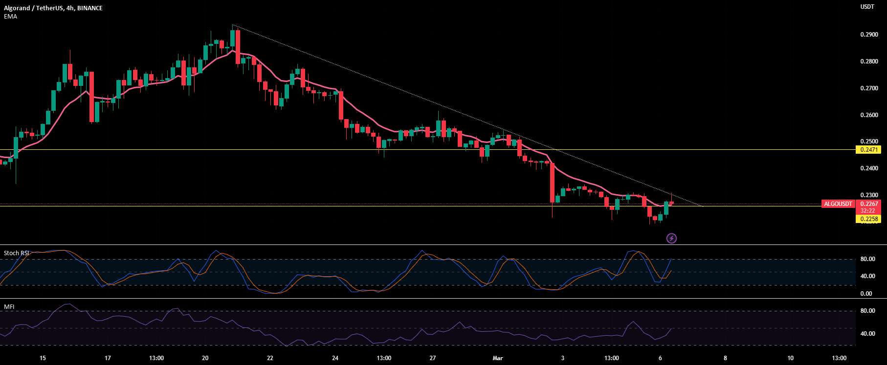  تحلیل الگوراند - $algo - dino coin هنوز؟