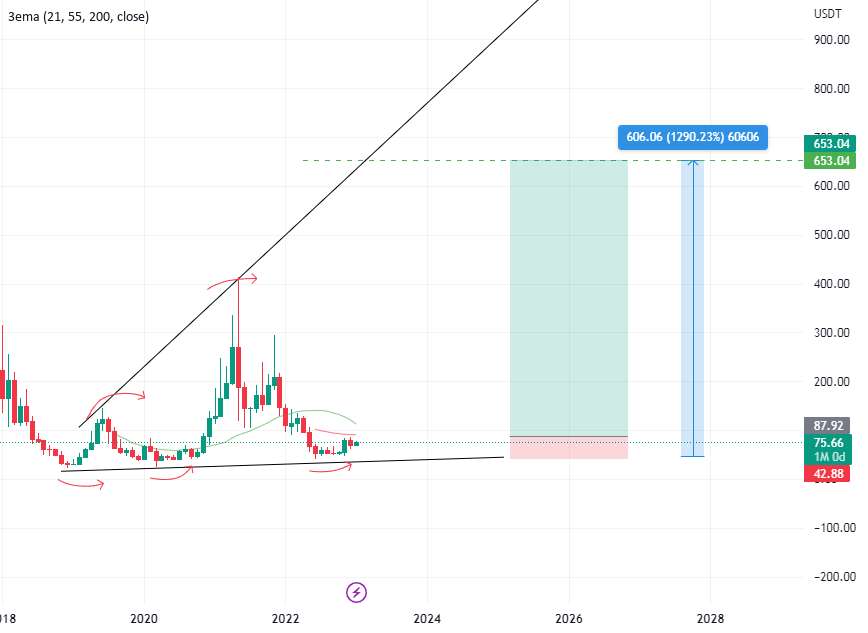 LTC BULL RUN HIT 656$