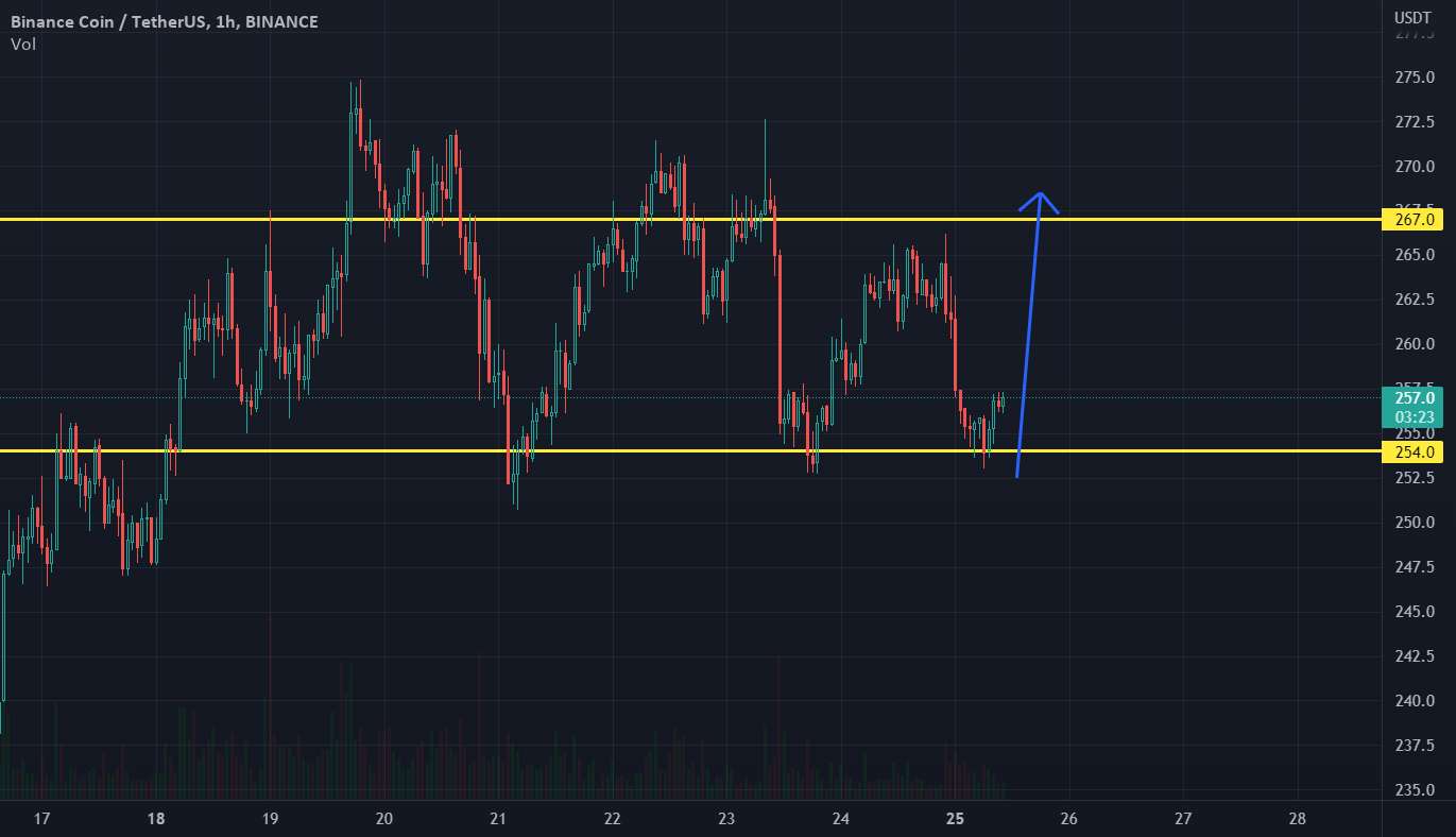 BNBUSDT 1H: ممکن است طولانی