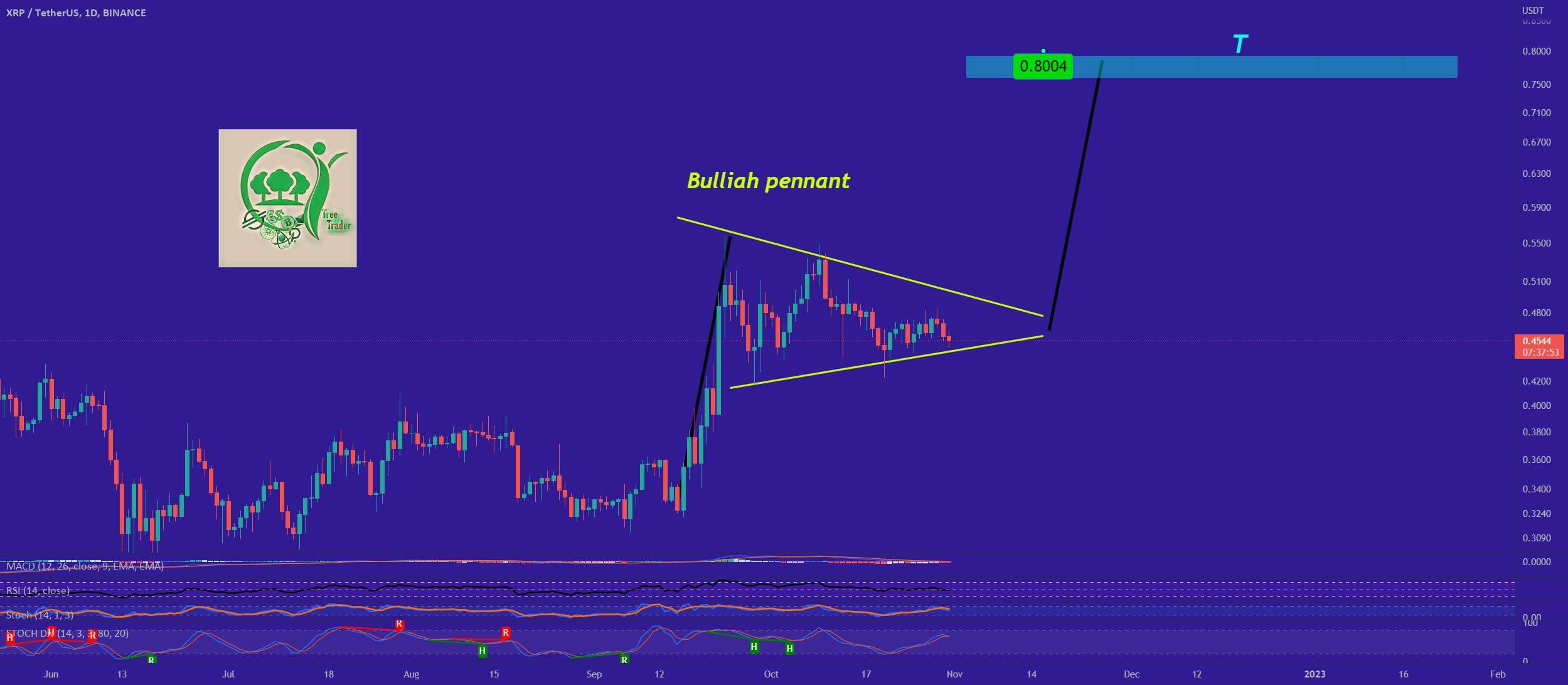  تحلیل ریپل - XRP قرار است به 0.8 دلار برسد