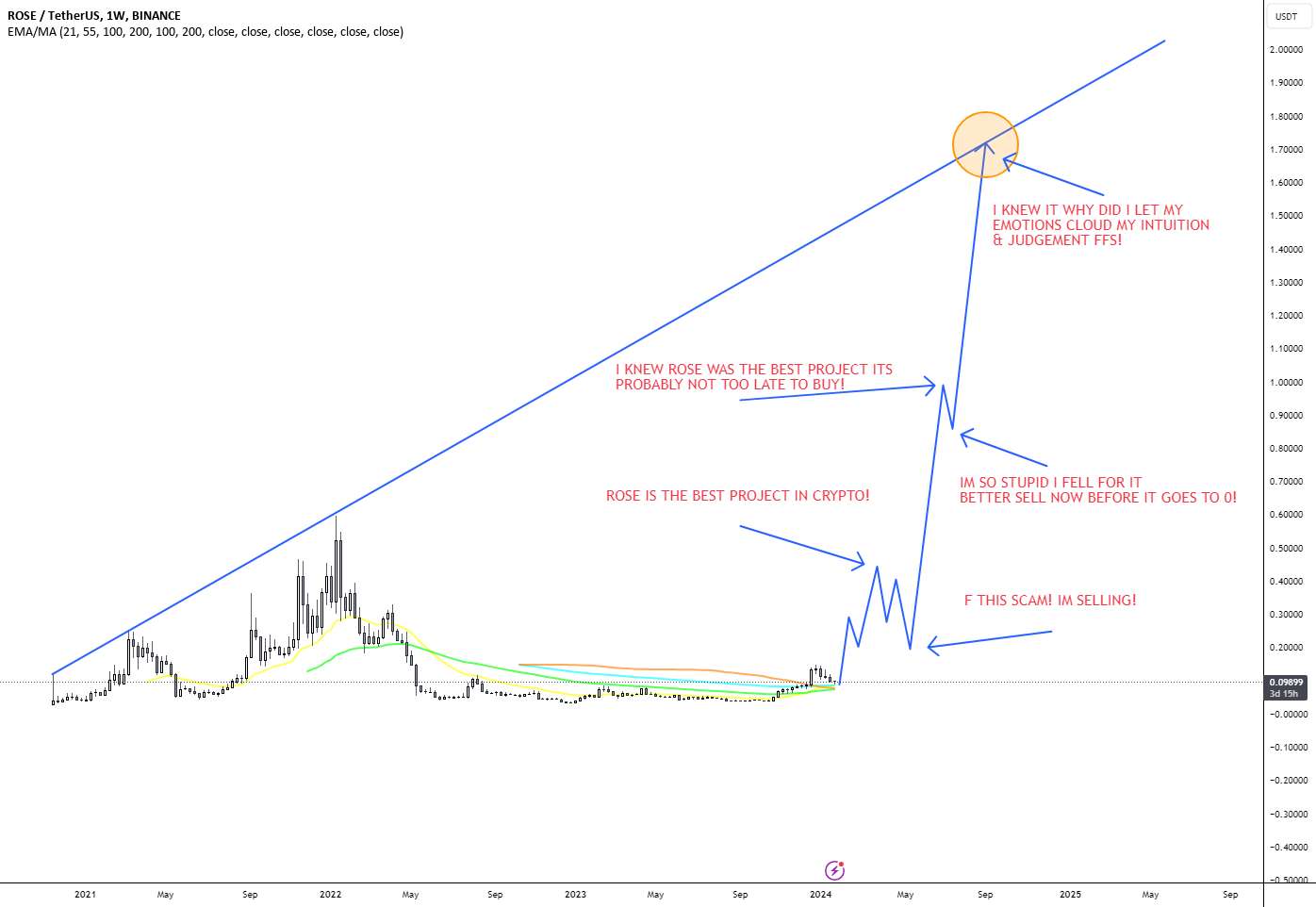  تحلیل آسیس نتورک - نقشه راه عاطفی شبکه ROSE Oasis