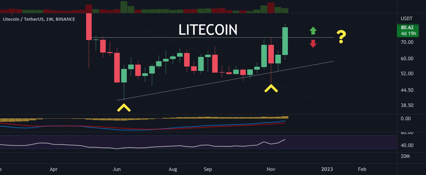 LTC/USD - Litecoin بدون زنجیره. رهبر جدید بازار! 🚀