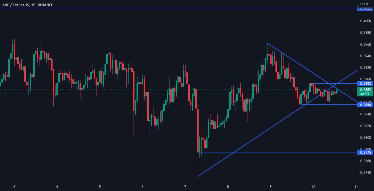 XRP با وجود هجوم تراکنش های عظیم همچنان در روند صعودی باقی می ماند