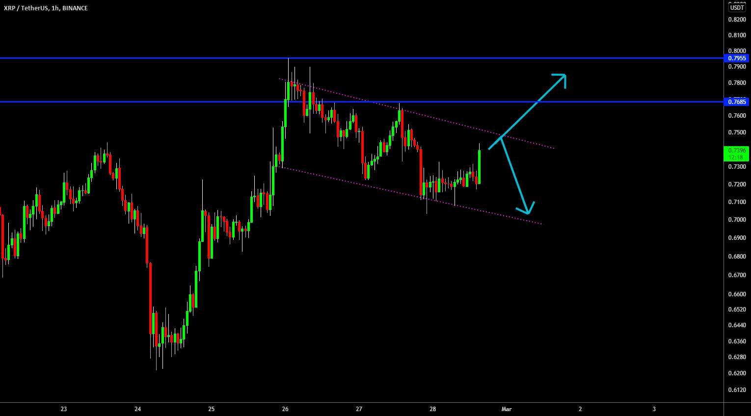 🔥 پرچم کوتاه مدت XRP گاو نر