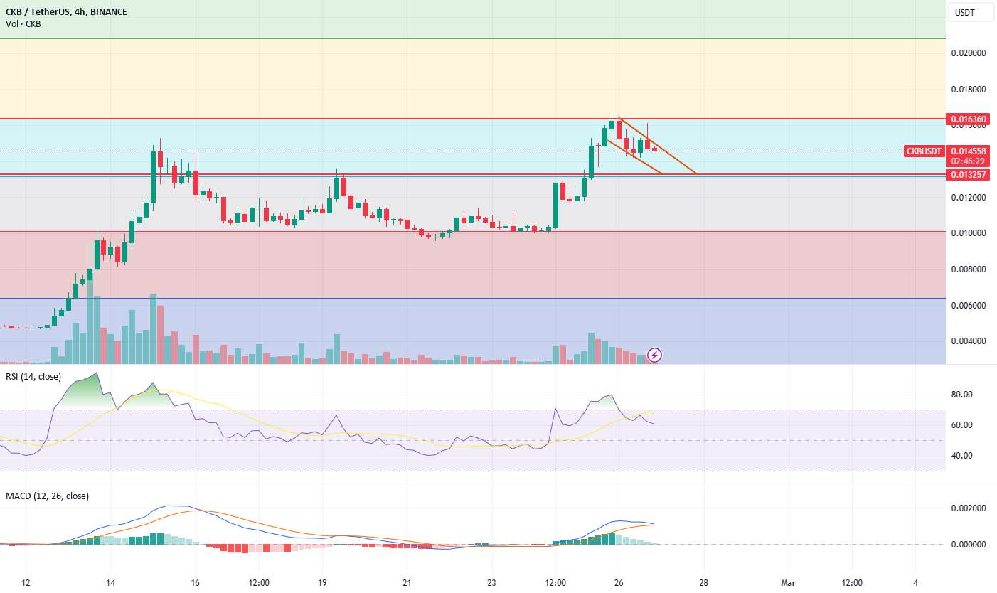  تحلیل نروس نتورک - این هفته عقب نشینی کنیم؟