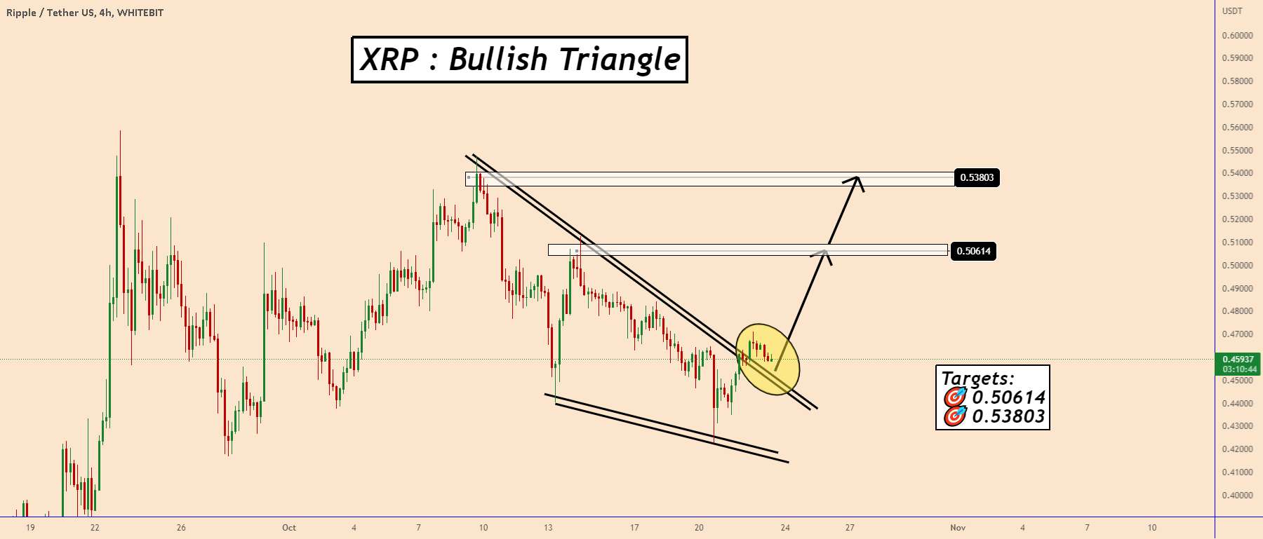 XRP: یک فرصت صعودی دیگر