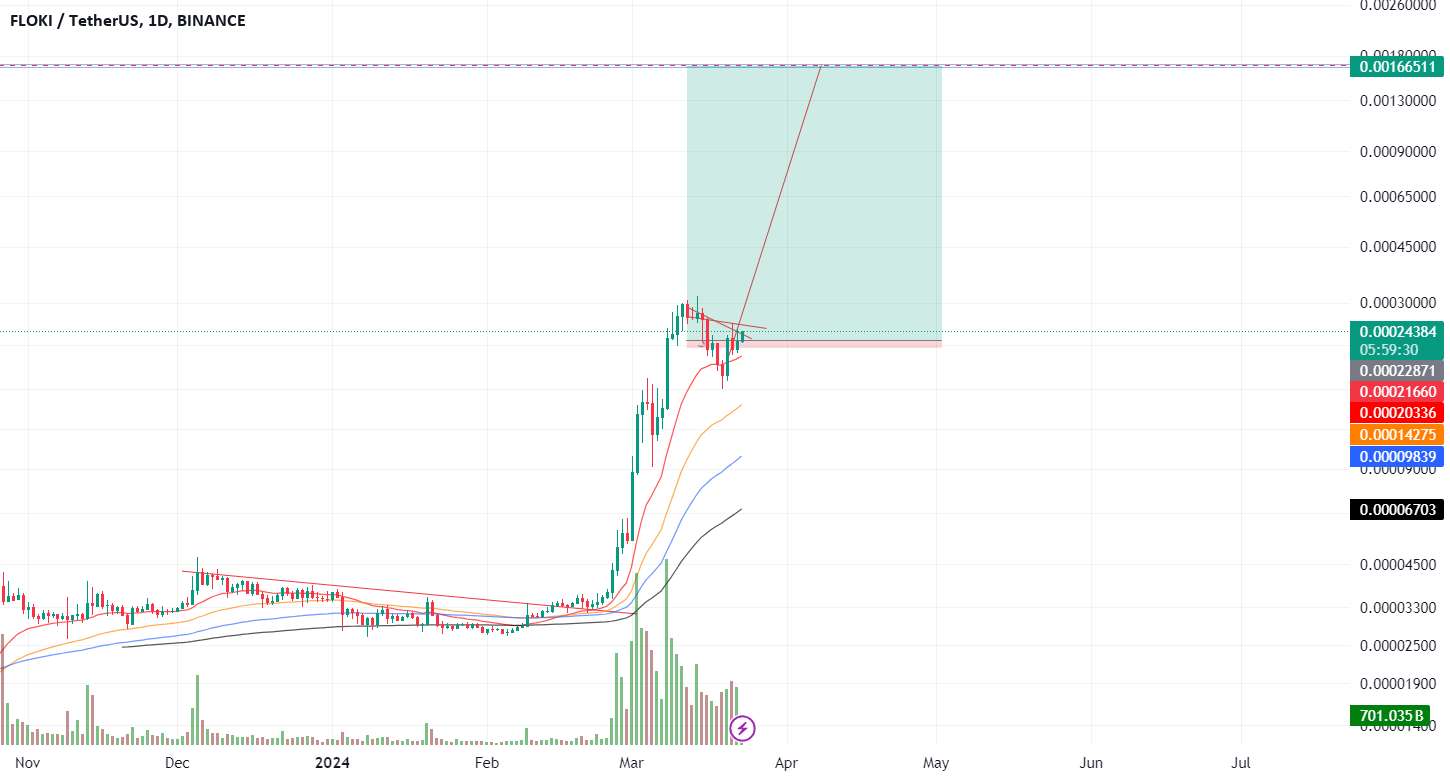  تحلیل FLOKI - 600% فلوکی