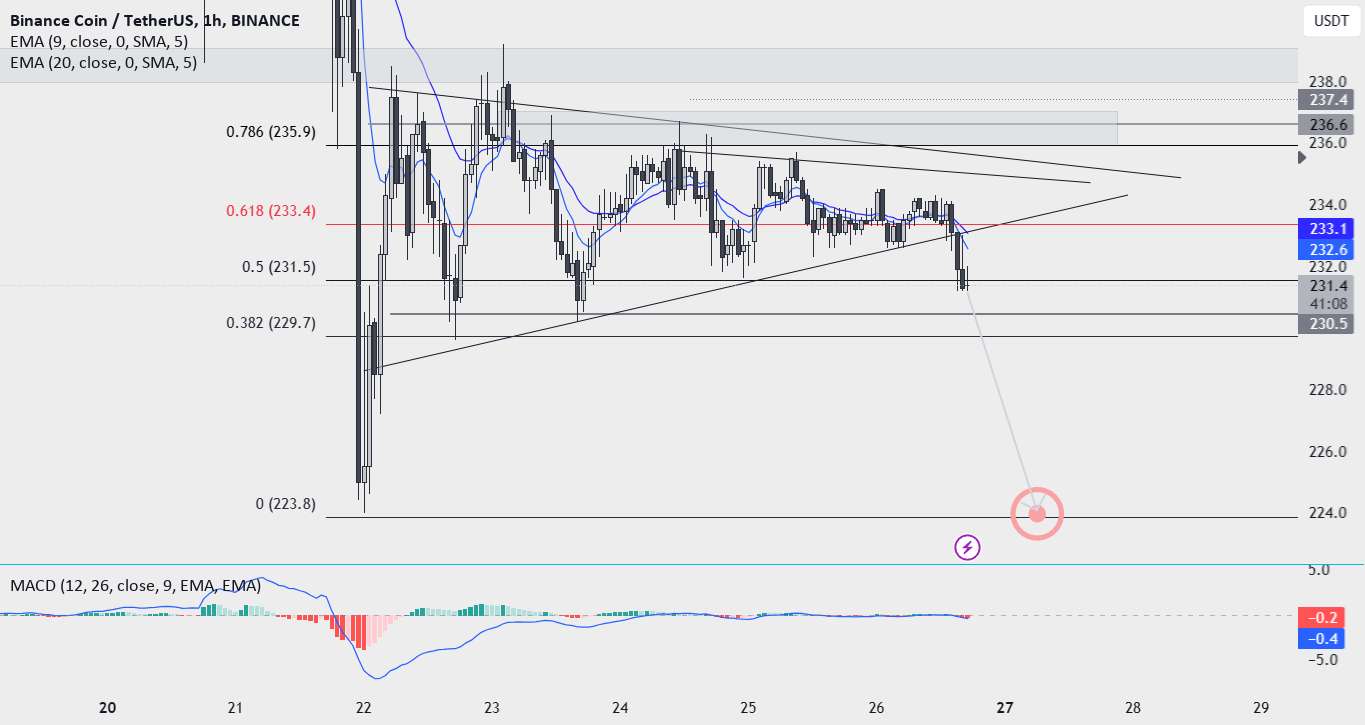 هدف BNB/USDT 223.8