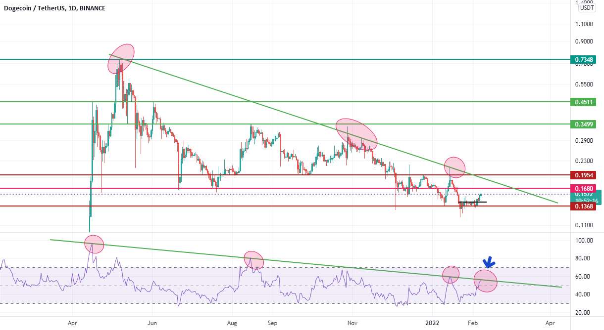 dogecoin تحت نظر باشد