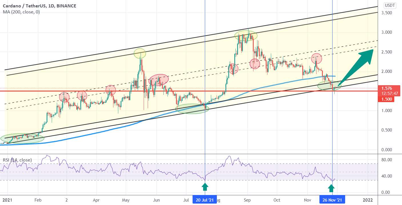  تحلیل کاردانو - CARDANO 2021 CHANNEL