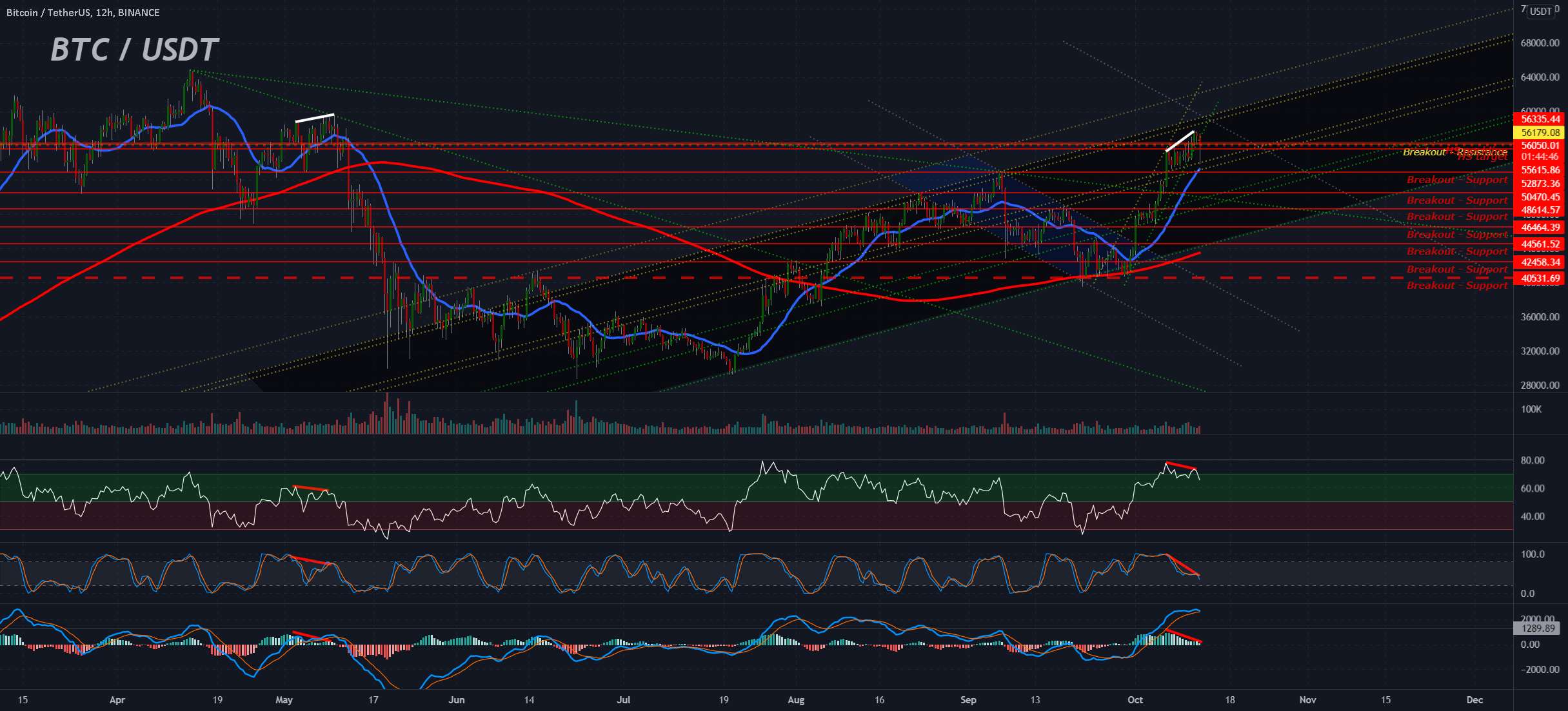 BTC 11 مه ، دوباره؟