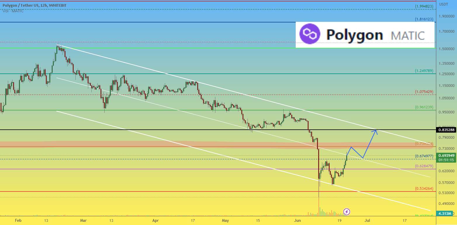  تحلیل پالی گان (ماتیک نتورک) - قیمت Polygon Matic تسلیم نشوید و سعی در رشد کنید