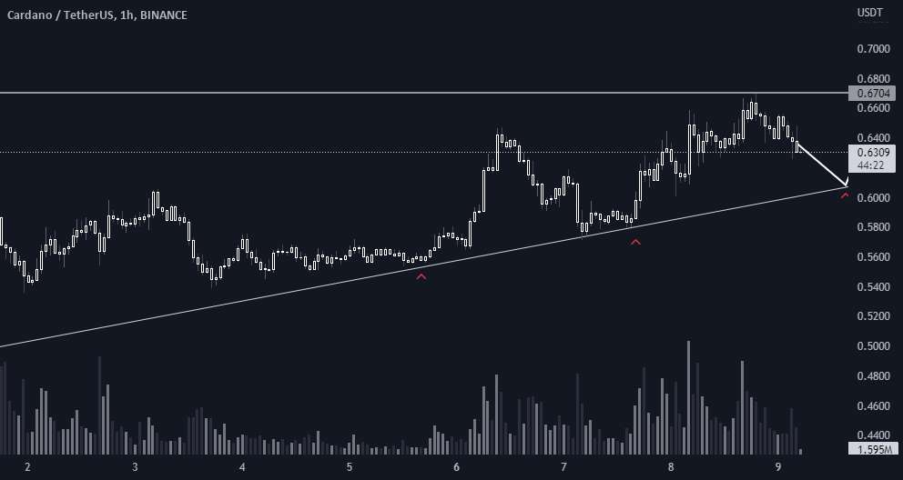 ADAUSDT 1H🔥 اطلاعات مفید!!!