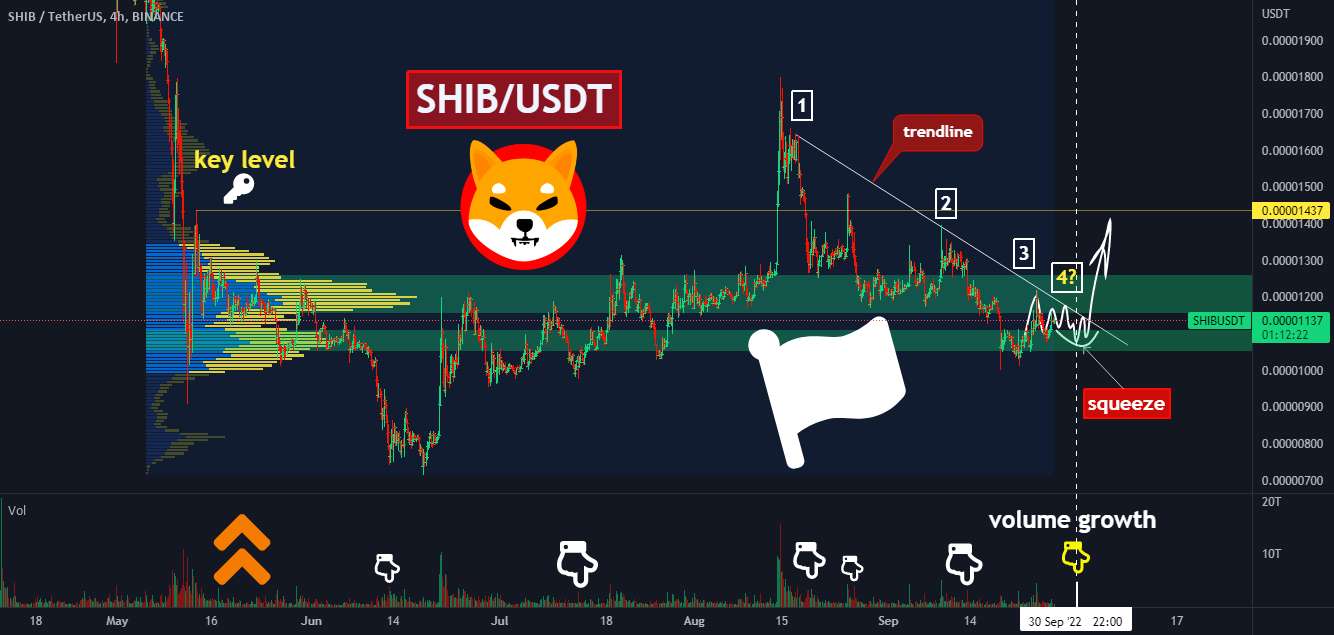 ✅🔥 پمپ INU SHIBA به زودی: زمان پیدا کردن نقطه ورود است❗