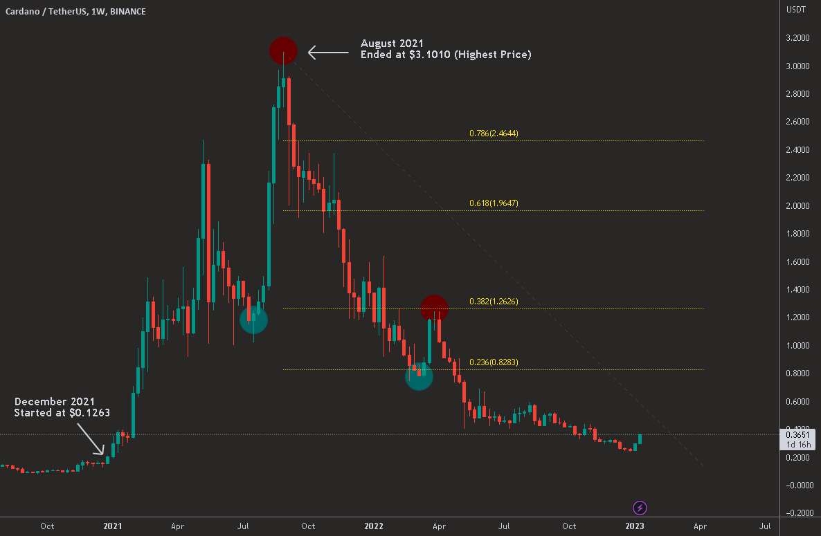  تحلیل کاردانو - آیا باید در کاردانو 2023 سرمایه گذاری کنم؟