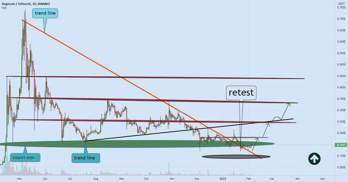 منطقه پشتیبانی DOGE 🚀