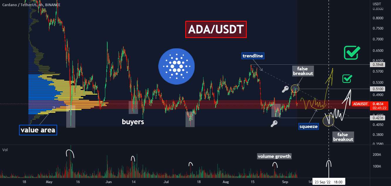 Cardano (ADA) نزدیک به نهنگ ها مناطق خرید 🔥 یک فرصت دیگر؟