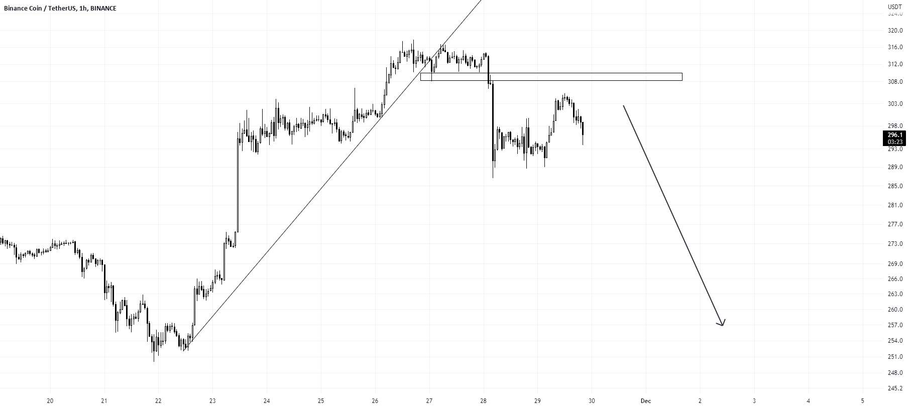 خرس در bnb