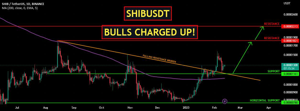 SHIBUSDT | گاو نر شارژ شد!