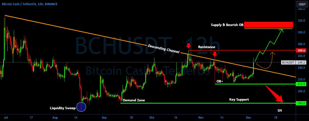  تحلیل بیتکوین کش - BCH/USDT از یک کانال نزولی خارج شد | 🚀👀 بعدی چیست؟