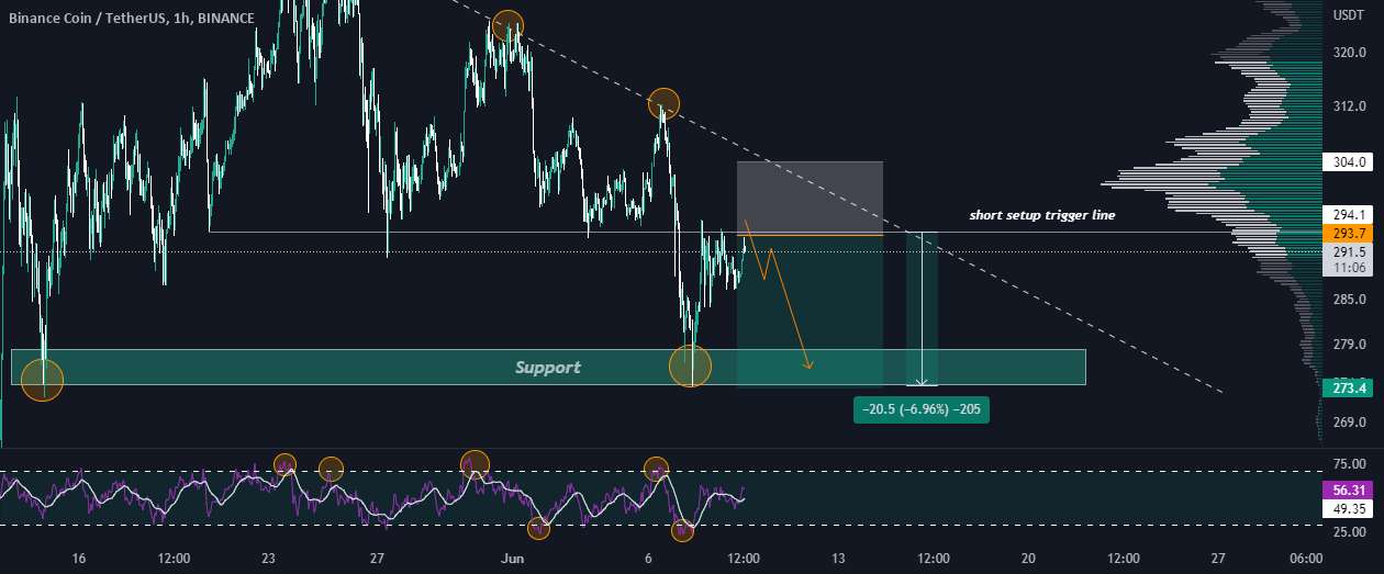 تجارت کوتاه مدت BNB/Binance Coin!🔥