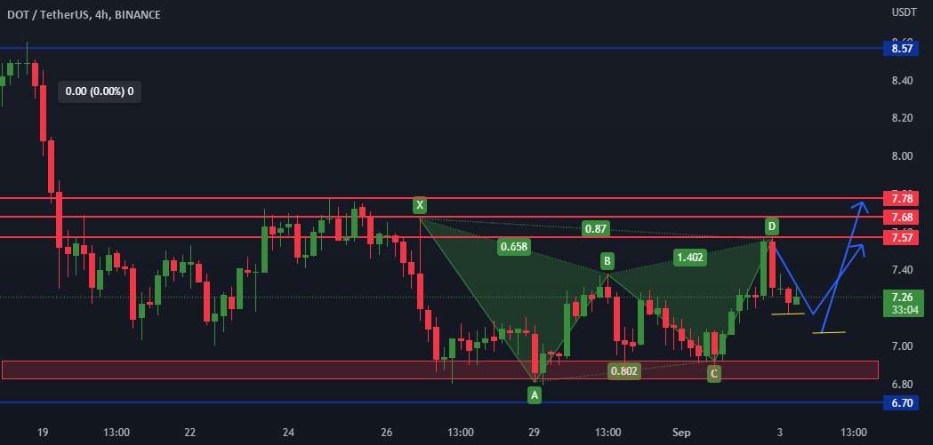 DOT Long Position به زودی