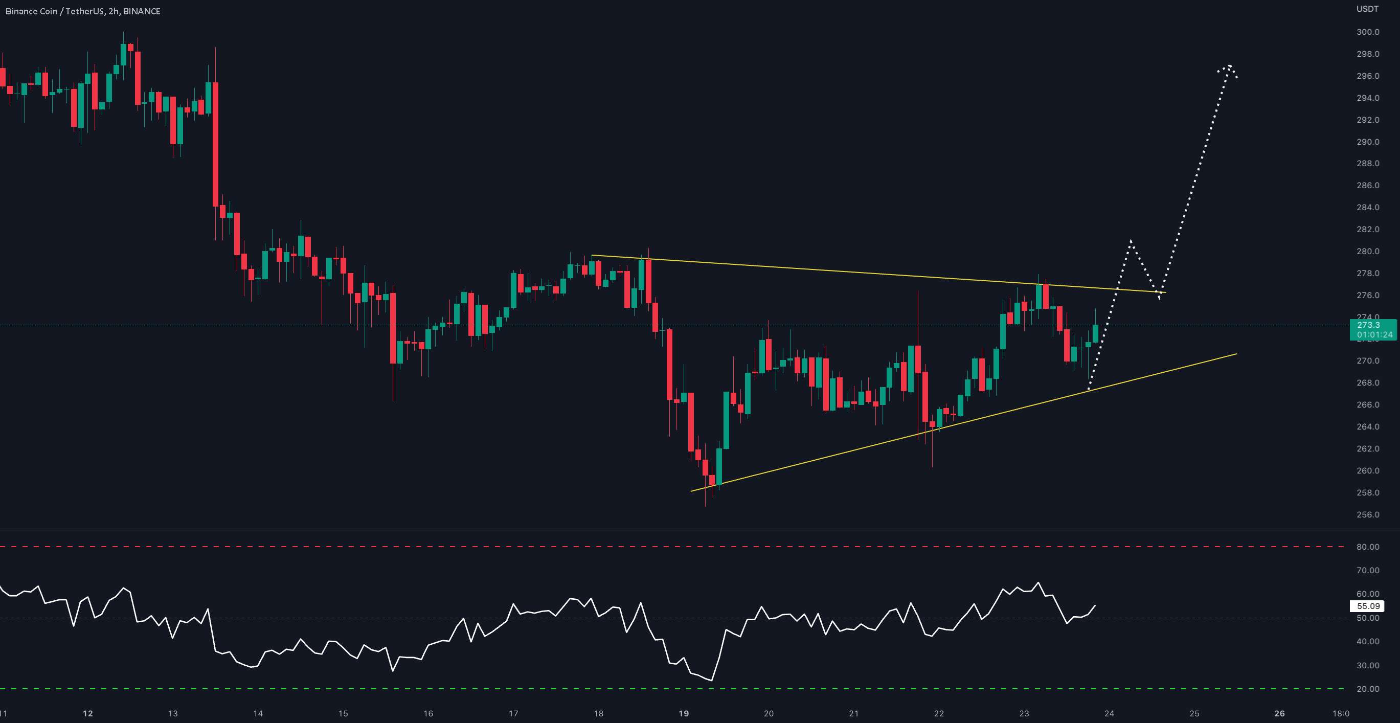 به روز رسانی یک روزه #BNB/USDT!!