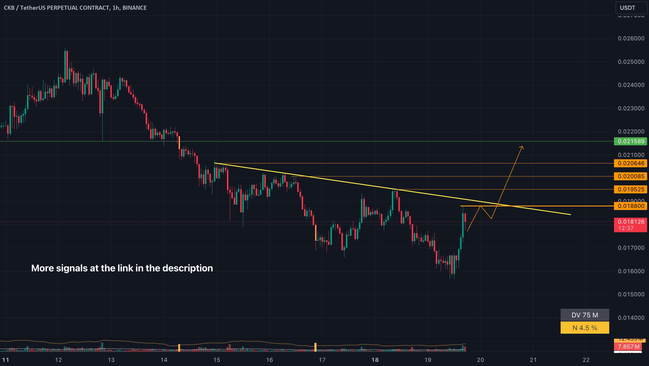  تحلیل نروس نتورک - LONG #CKBUSDT