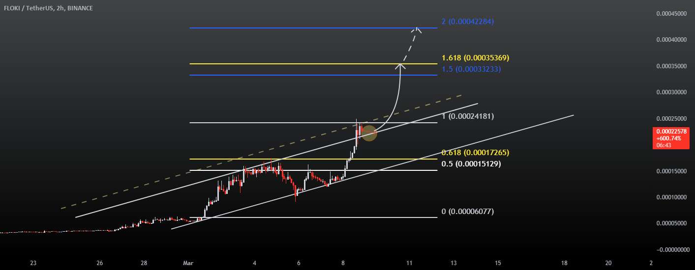  تحلیل FLOKI - ایده FLOKI: افزایش قیمت بالقوه در افق!