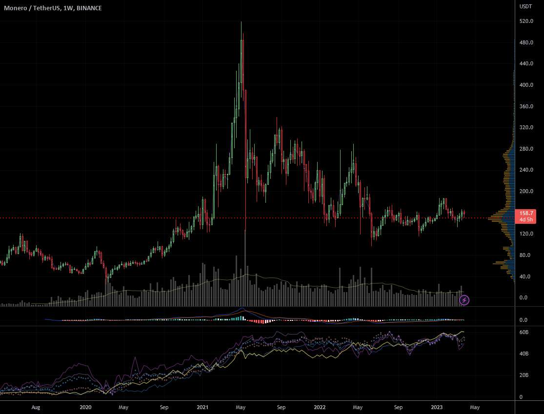 طول XMR مثل گاو نر.