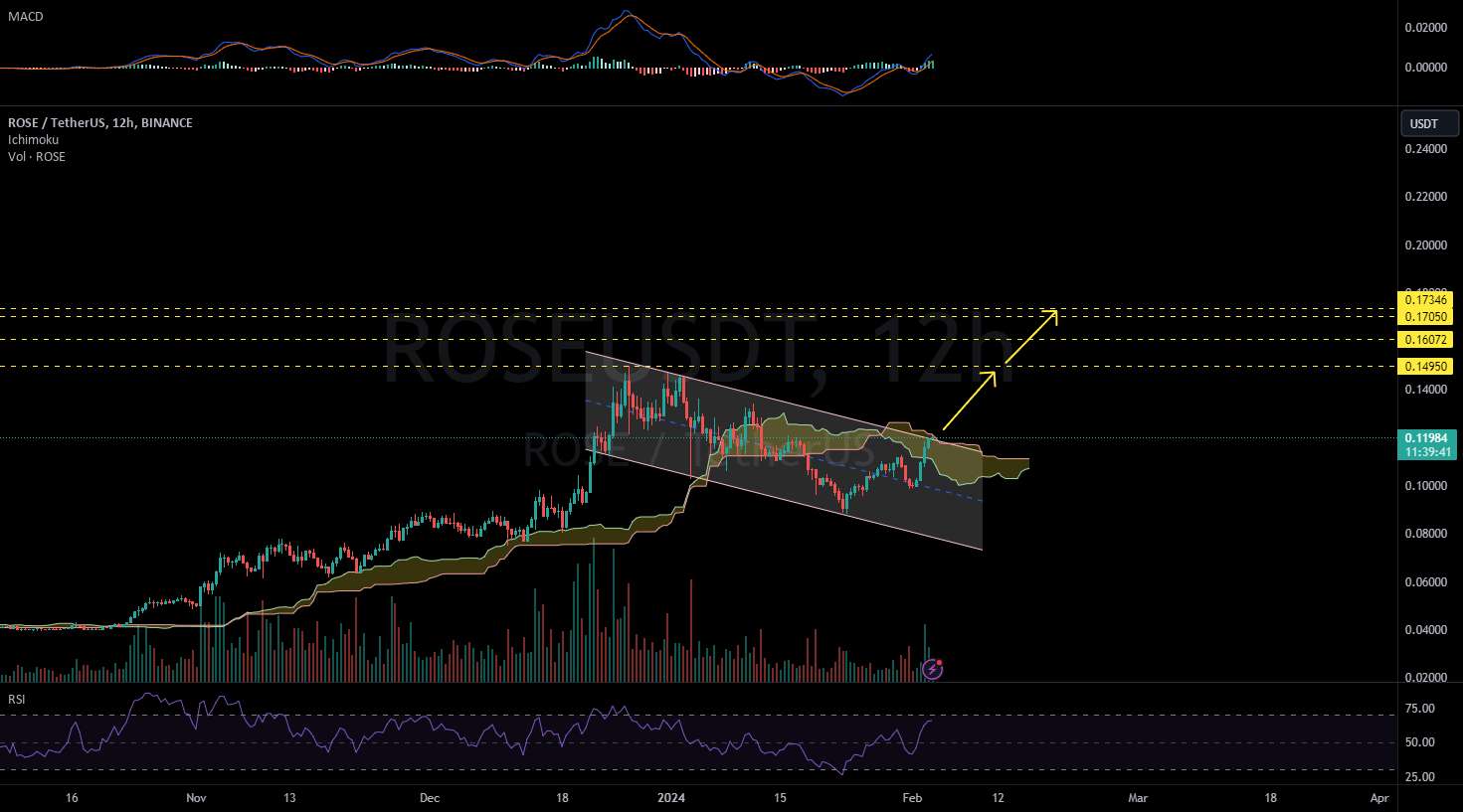  تحلیل آسیس نتورک - ROSEUSDT 12H