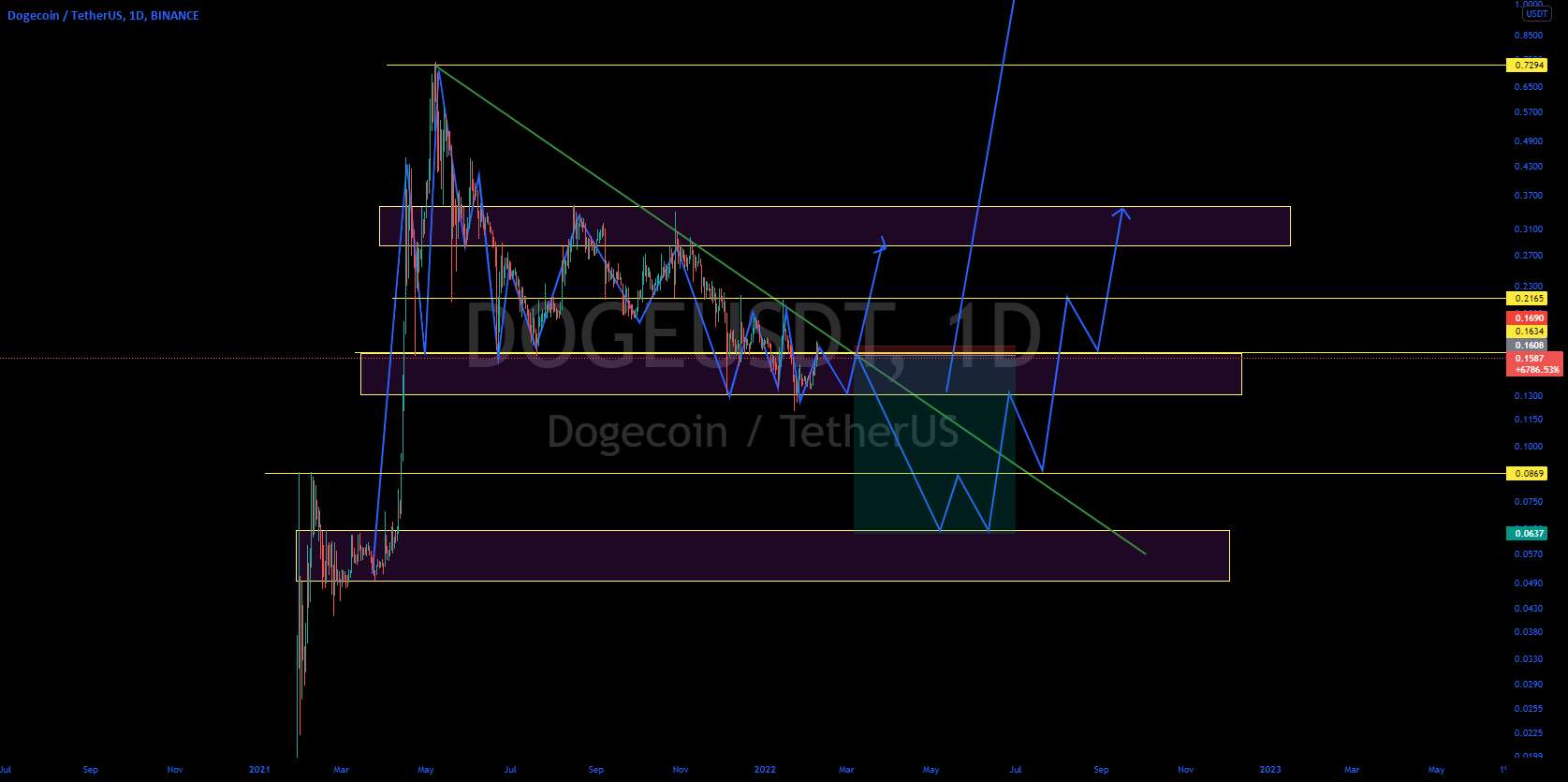 سناریوی احتمالی Dogecoin